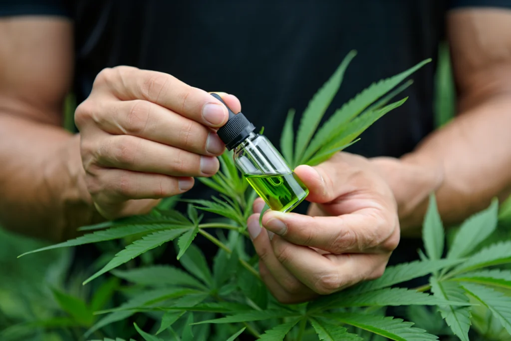 Future of Herbal Sports Medicine for Athletes: Trends and Innovations