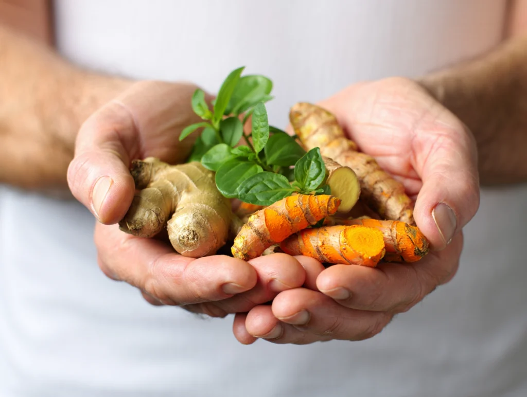 Microdosing Plant-Based Extracts for Sports Nutrition and Recovery