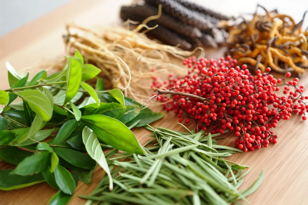 Plant-Based Adaptogens to Boost Endurance and Stress Resistance